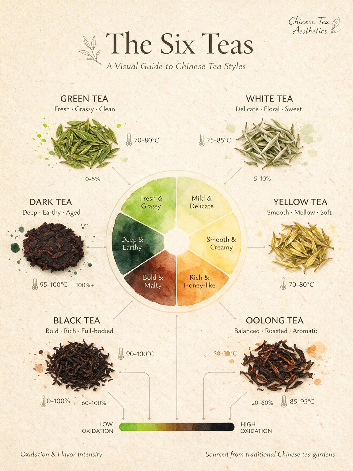 Watercolor infographic of six Chinese tea types around a flavor wheel